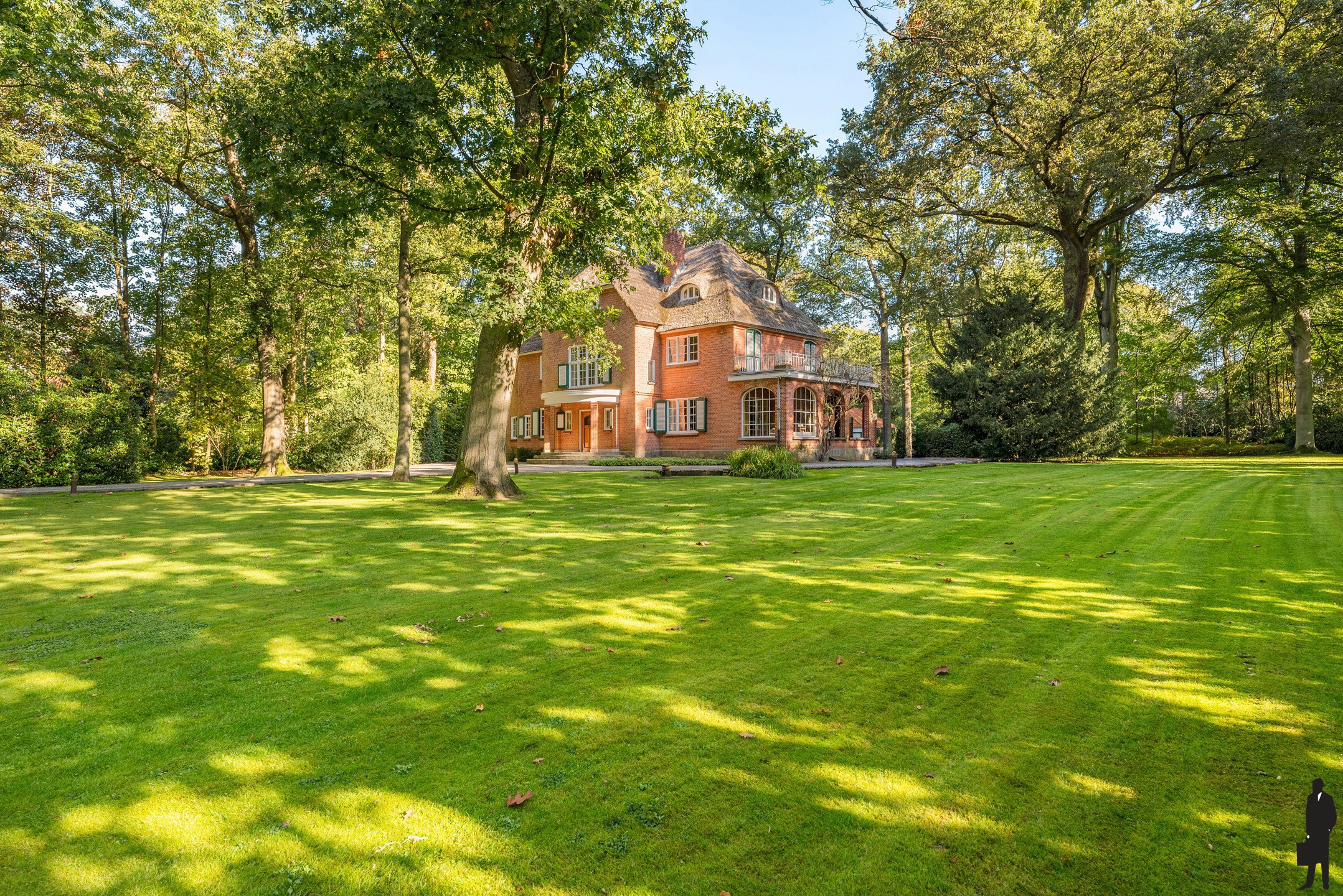In Vriesdonk, rietgedekte karaktervolle villa met authentieke elementen, prachtige parktuin, hoge plafonds en veel verbouwingspotentieel! Grondoppervlakte is ca. 9127m². - foto 3