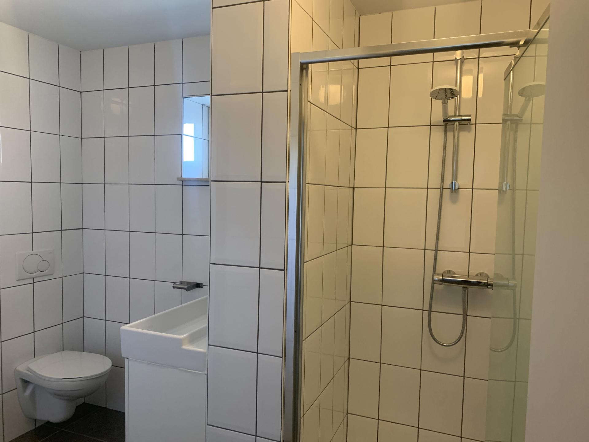 OPGEFRISTE HALFOPEN BEBOUWING IN EEN ZEER RUSTIGE STRAAT - foto 5