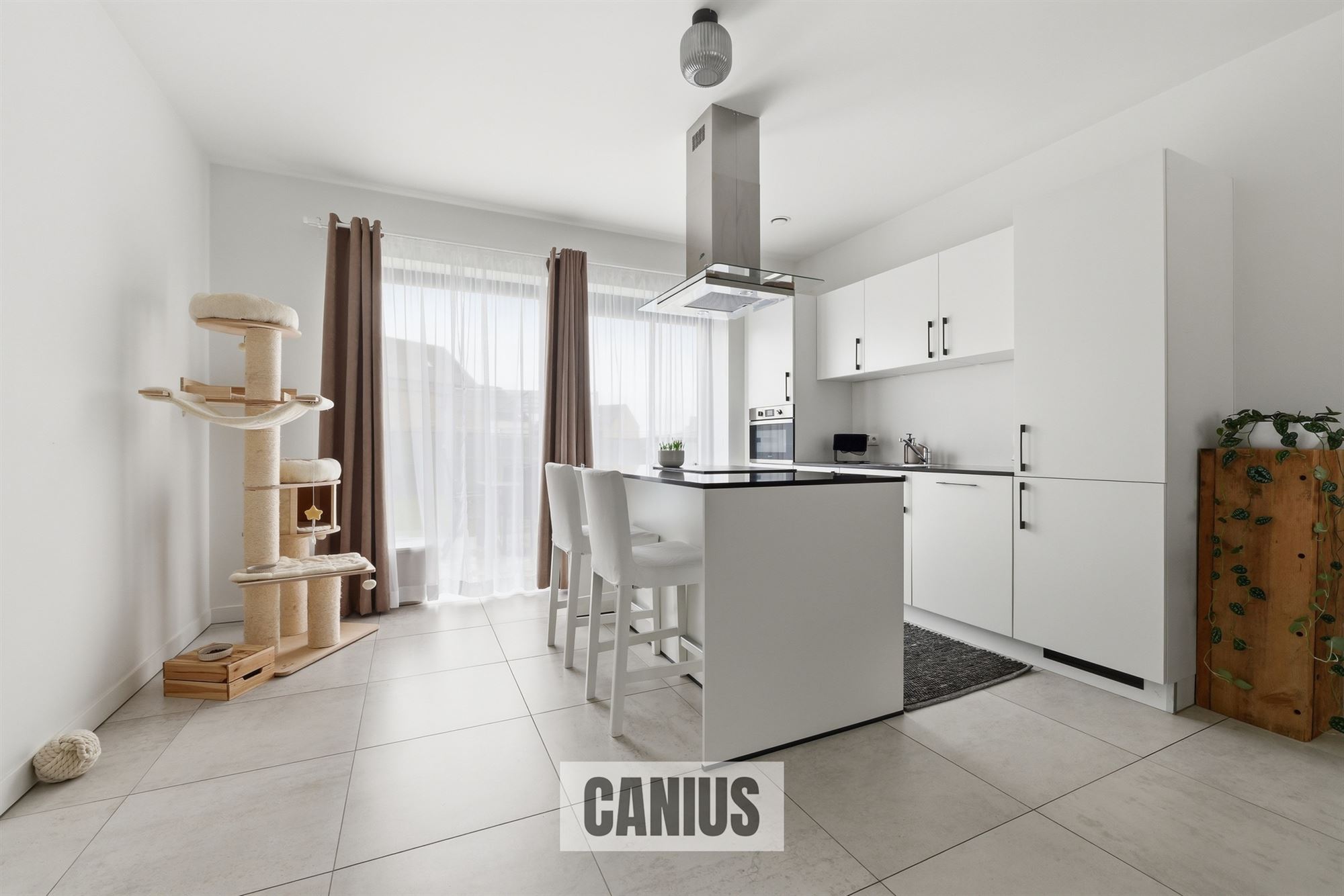 House - photo 3