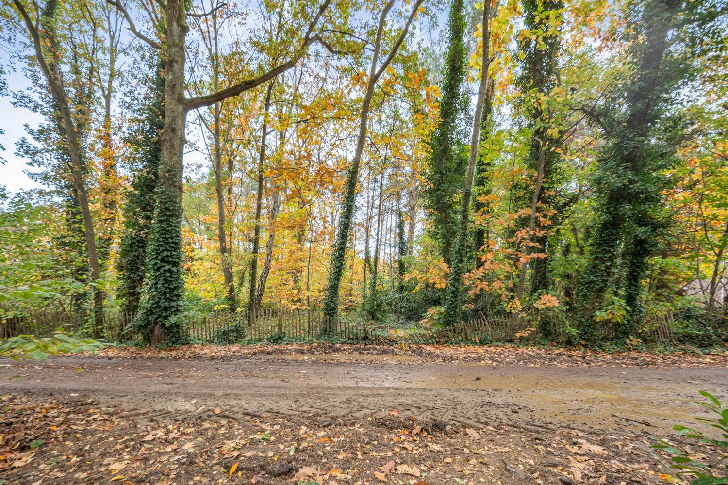 Residentieel gelegen bouwgrond van 15 are voor een open bebouwing te Rotselaar (Heikantberg) - foto 2