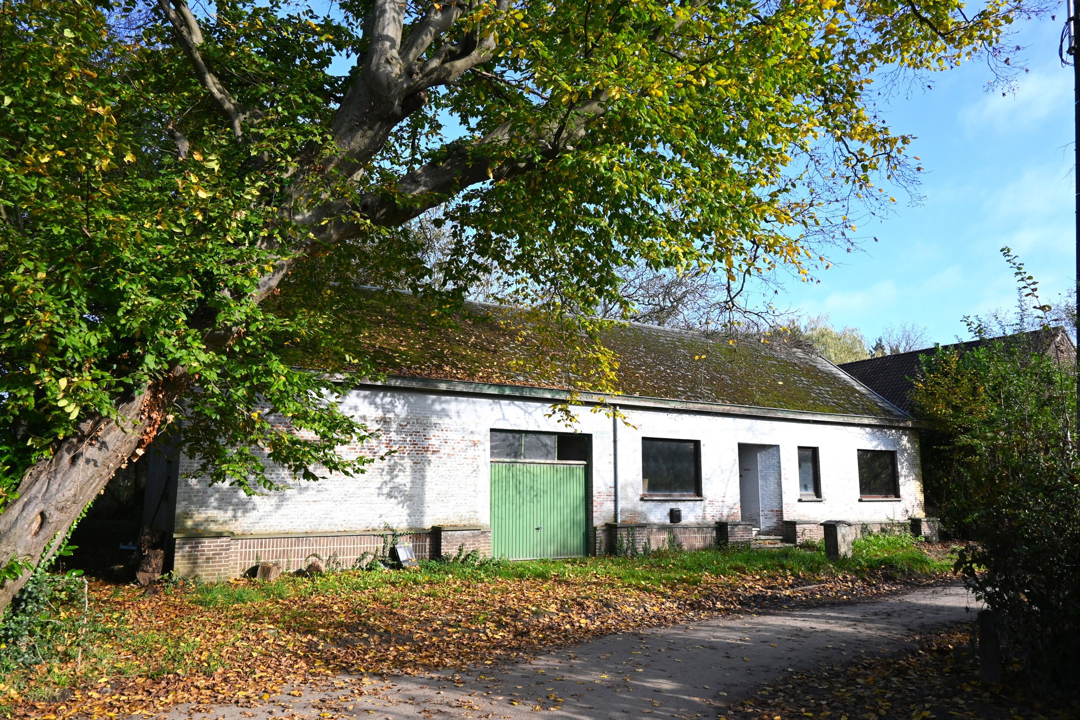 Maison à vendre à Werchter avec 4 chambres - photo 2
