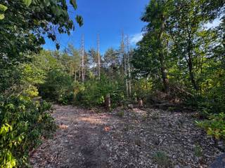 In een rustige en bosrijke omgeving langs Beerseheide te Lille bevindt zich dit perceel bosgrond met een oppervlakte van 2.870 m².<br /><br />De ligging wordt gekenmerkt door haar groene karakter, beperkte passage en nabijheid van uitgestrekte natuur- en recreatiezones. Een ideale omgeving voor wie op zoek is naar rust, privacy en een plek midden in het groen.<br /><br />Het perceel beschikt over een straatbreedte van 50 meter en een diepte van 72,50 meter, wat zorgt voor een mooie, bruikbare configuratie.<br /><br />Het goed is gelegen in een gebied voor verblijfsrecreatie, maar is momenteel niet bebouwbaar. Volgens de geldende stedenbouwkundige voorschriften en de toepasselijke verordening kan er geen vergunning verkregen worden, aangezien het perceel niet gelegen is langs een voldoende uitgeruste weg conform de VCRO.<br /><br />Het perceel wordt bijgevolg verkocht als bosgrond.<br /><br />Interesse in een rustig gelegen stuk natuur op een goed bereikbare locatie? Neem gerust contact op voor meer informatie.