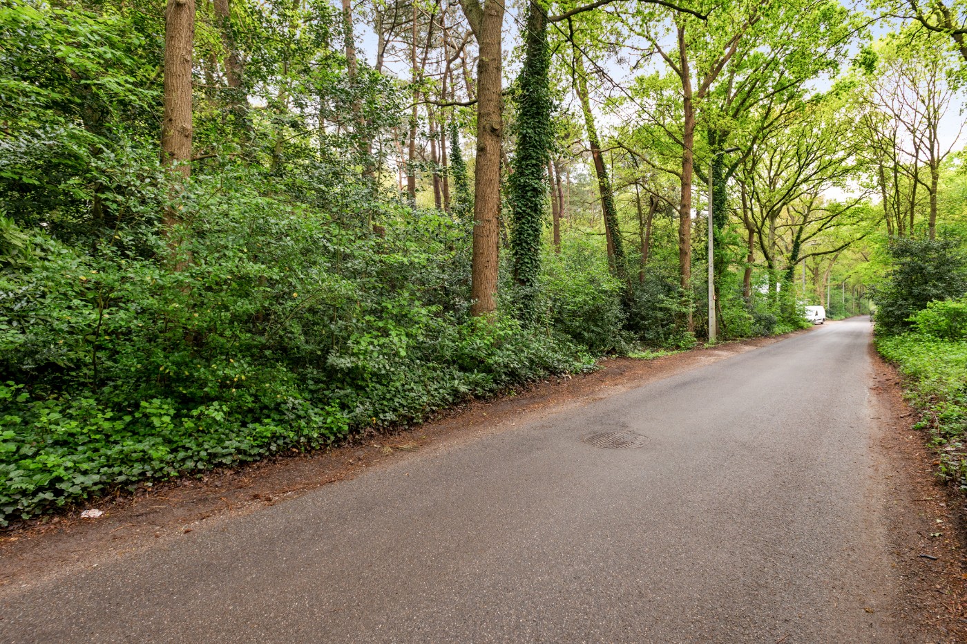 Perceel bosgrond van 1.000m² - foto 3