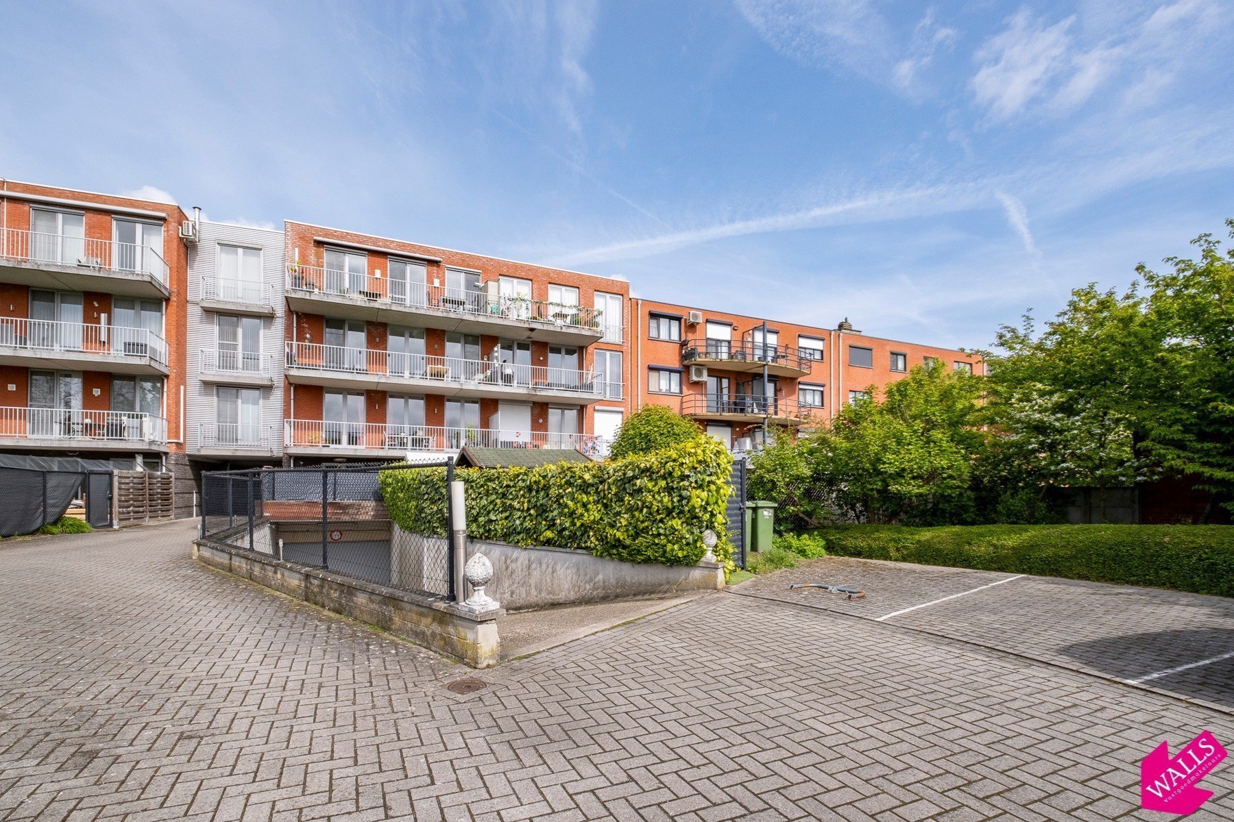 Te koop: kelderberging - foto 3