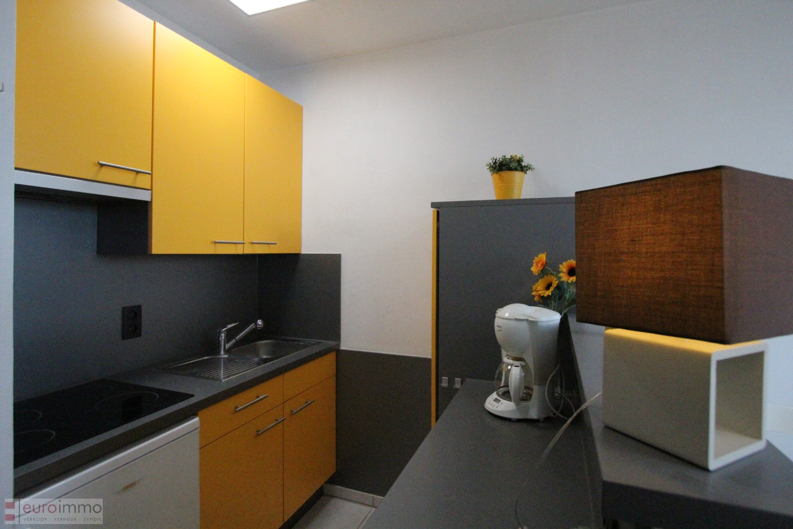 Zuidgerichte studio op een centrale ligging te Nieuwpoort-Bad. - foto 4