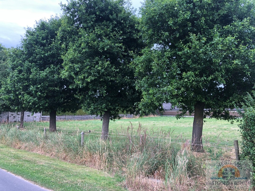 Land for sale in Houthulst - photo 1