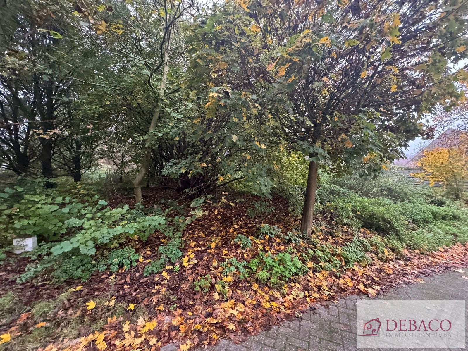 Rustig gelegen bouwgrond voor OB - foto 5