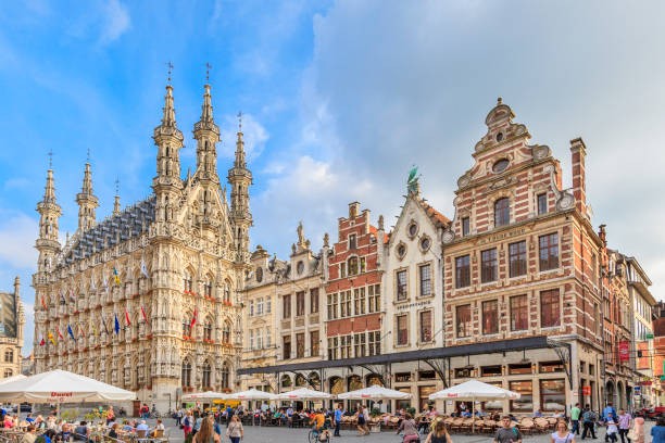 Prachtig opbrengsteigendom met 13 studentenkamers op centrale ligging - foto 3