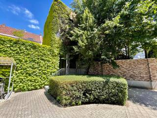 Uniek, instapklaar handelspand in een voormalige school in hartje Mechelen. Het gebouw bestaat uit 3 verdiepingen (3x72 m²) met grote open ruimtes die een uiterst flexibele inrichting mogelijk maken, afgestemd op diverse commerciële noden.

Ontvang je graag meer informatie of wil je een bezoek inplannen? Contacteer ons dan via info@dockx.com of +32 14 37 75 73.
