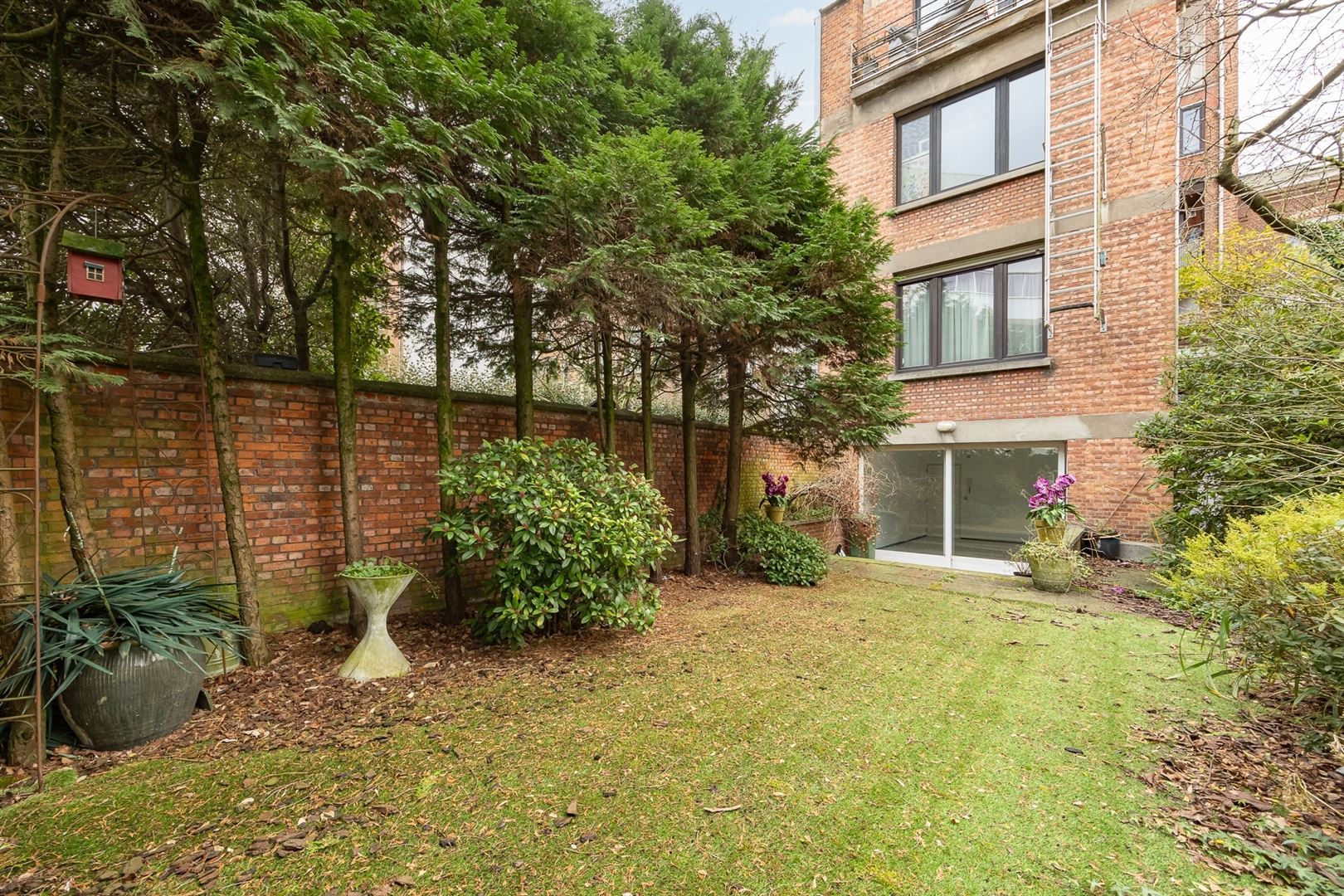 Ground floor - photo 5