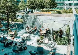 Uitstekend gelegen instapklare kantoren/polyvalente ruimtes van 250 m² tot 5.500 m² te huur naast de Brusselse Ring in de noordelijke periferie...