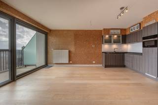 <br />Op wandelafstand van het strand bevindt zich dit stijlvolle appartement die in 2019 werd opgeleverd. <br /><br />Gelegen op de 7e verdieping geniet dit appartement van een uitstekende zuidoriëntatie en een open panoramisch uitzicht. Het terras vormt de ideale plek om in alle rust te genieten van de zon.<br /><br />De lichtrijke woonkamer met toegang tot het terras, de open keuken met kwaliteitsvolle Miele toestellen, gastentoilet, badkamer met douche, toilet en wastafel, één slaapkamer met toegang tot het terras en is er nog een mogelijkheid om de wasruimte om te bouwen tot dressing. Als extra troef beschikt dit appartement over een gemeenschappelijk zwembad.<br /><br />Een sterke combinatie van ligging, comfort en uitstraling maakt dit appartement tot een absolute topper aan de kust. Bovendien wordt het aangeboden onder erfpacht, wat zorgt voor een interessante en toegankelijke investeringsopportuniteit.<br /><br />Prijs vanaf 220.000 euro.<br /><br />Voor meer informatie of een vrijblijvend bezoek, contacteer Gaëlle op het nummer 0479 17 17 17. <br />