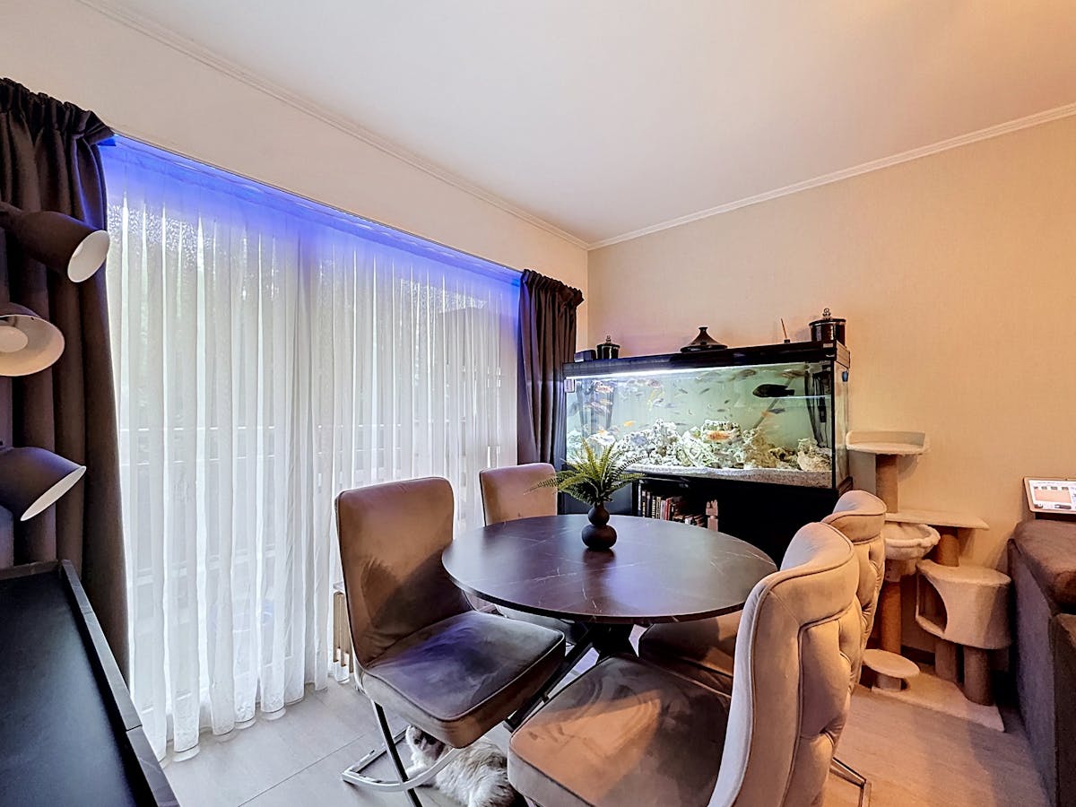 1 bedroom apartment for rent in Borgerhout - photo 4