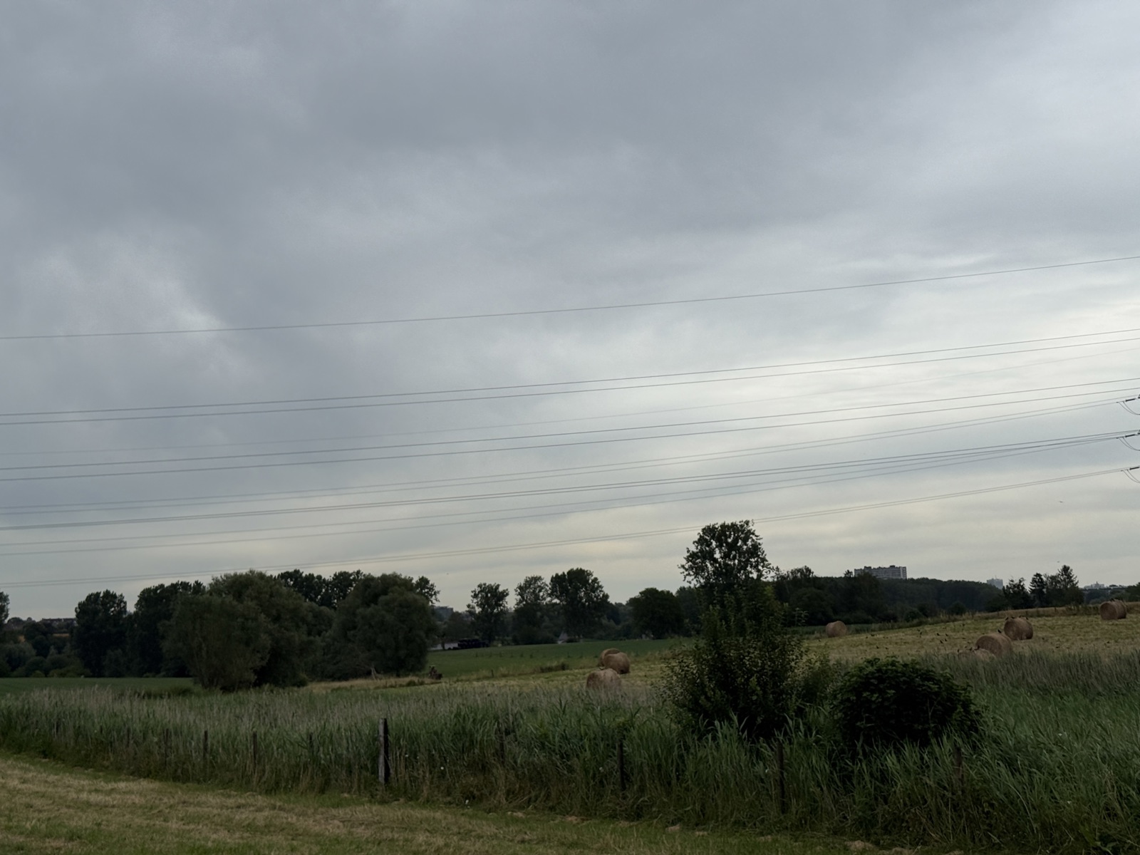 Hooiland van 26a 50ca - foto 4