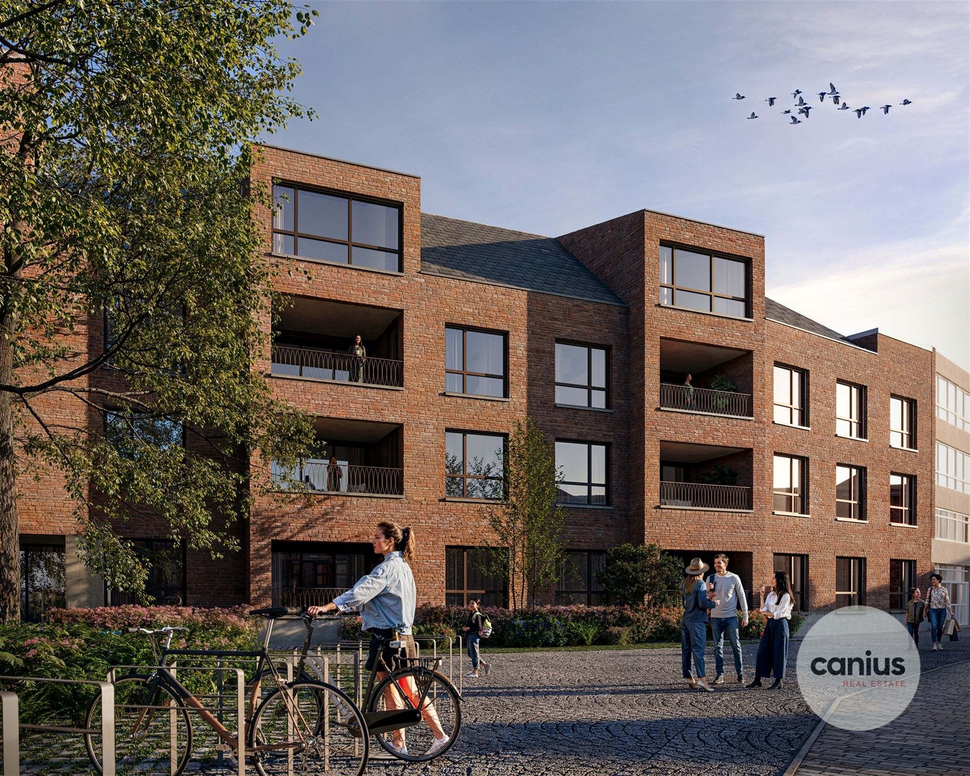 Appartement - photo 2