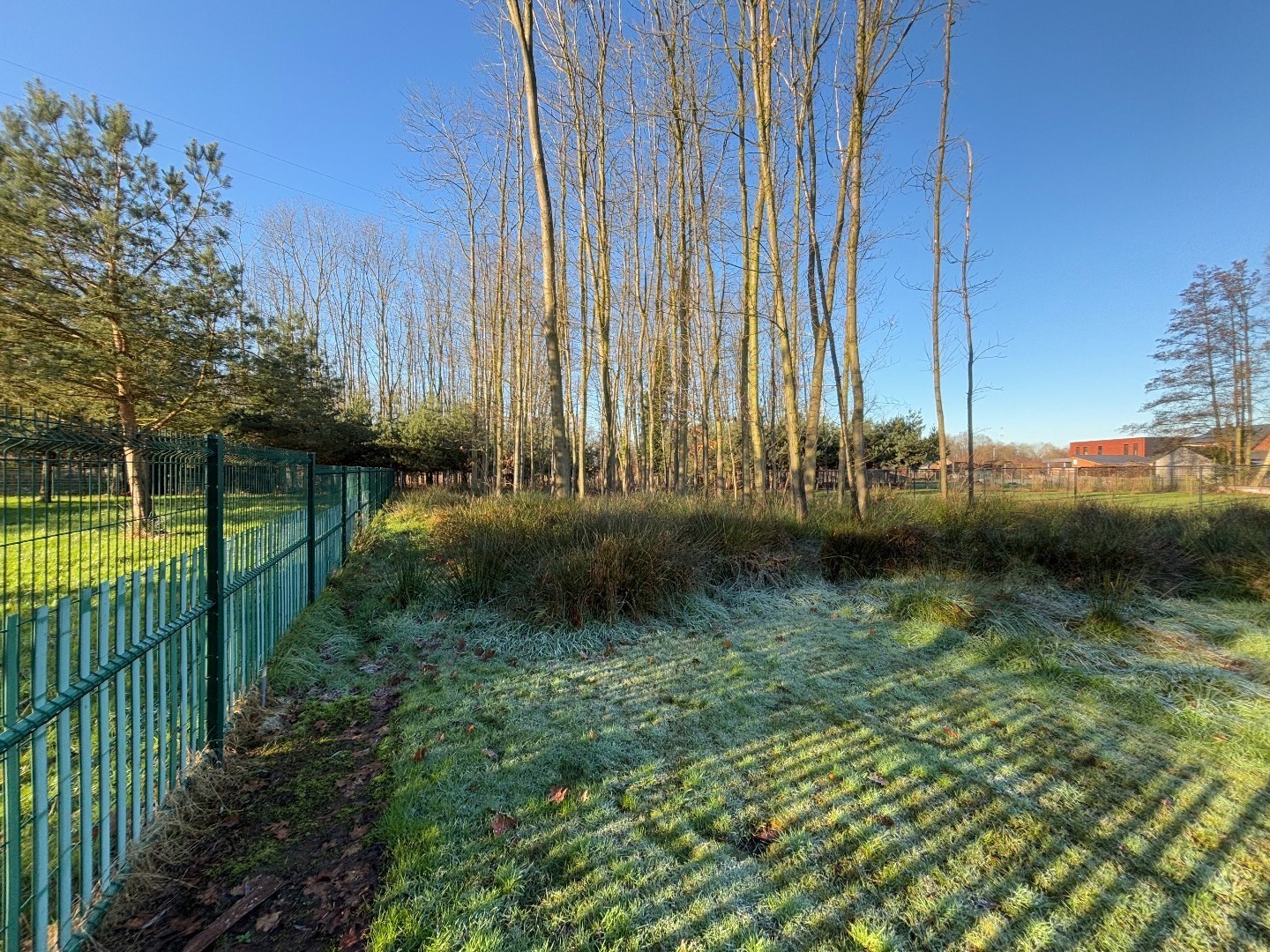 Land for sale in Tessenderlo-Ham - photo 4