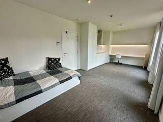 Ben je op zoek naar een eigen plekje in het hart van Leuven? Deze stijlvolle studentenstudio, gelegen aan de Riddersstraat, biedt alles wat je nodig hebt voor een comfortabele en praktische studententijd. Gebouwd in 2020 en voorzien van moderne voorzieningen, is deze studio de perfecte investering voor studenten of ouders die op zoek zijn naar een veilige en comfortabele woonplek voor hun studerende kinderen.<br /><br />Wat biedt deze studio?<br /><br />- Leefruimte: Een lichte en ruime leefruimte met een volledig uitgeruste keuken, ideaal om zowel te ontspannen als te studeren. Hier werd ook het bureau slim geïntegreerd. Verder is er ook een comfortabel bed om tot rust te komen.<br />- Ingerichte badkamer: Een moderne badkamer, compleet met alle voorzieningen die je nodig hebt.<br />- Aparte berging: Extra opbergruimte om je spullen netjes en georganiseerd te houden.<br />- Ondergrondse fietsenstalling: Inclusief een vaste plek voor je fiets, veilig en droog gestald in de ondergrondse fietsenstalling.<br /><br />Deze studio is perfect voor studenten die op zoek zijn naar een eigen plekje dicht bij universiteiten, winkels en openbaar vervoer. Ook ideaal als investering in een populaire studentenstad als Leuven.<br /><br />Interesse? Neem vandaag nog contact met ons op voor meer informatie of om een bezichtiging te plannen. Mis deze unieke kans niet om eigenaar te worden van deze moderne en centraal gelegen studio! <br /><br />EXTRA: individuele meters (gas/water/elektriciteit), recent, energiezuinig appartement. E-peil 48 (uc: 24062-G-RO216/0323/EP15513/A0001/D01/SD002) --> A-score! Perceelscore D, gebouwscore B, woongebied, stedenbouwkundige info aanwezig. Nabij winkels, autosnelweg, openbaar vervoer, etc. Voor meer info ga naar www.coenenvastgoed.be of bel 03/375.82.92