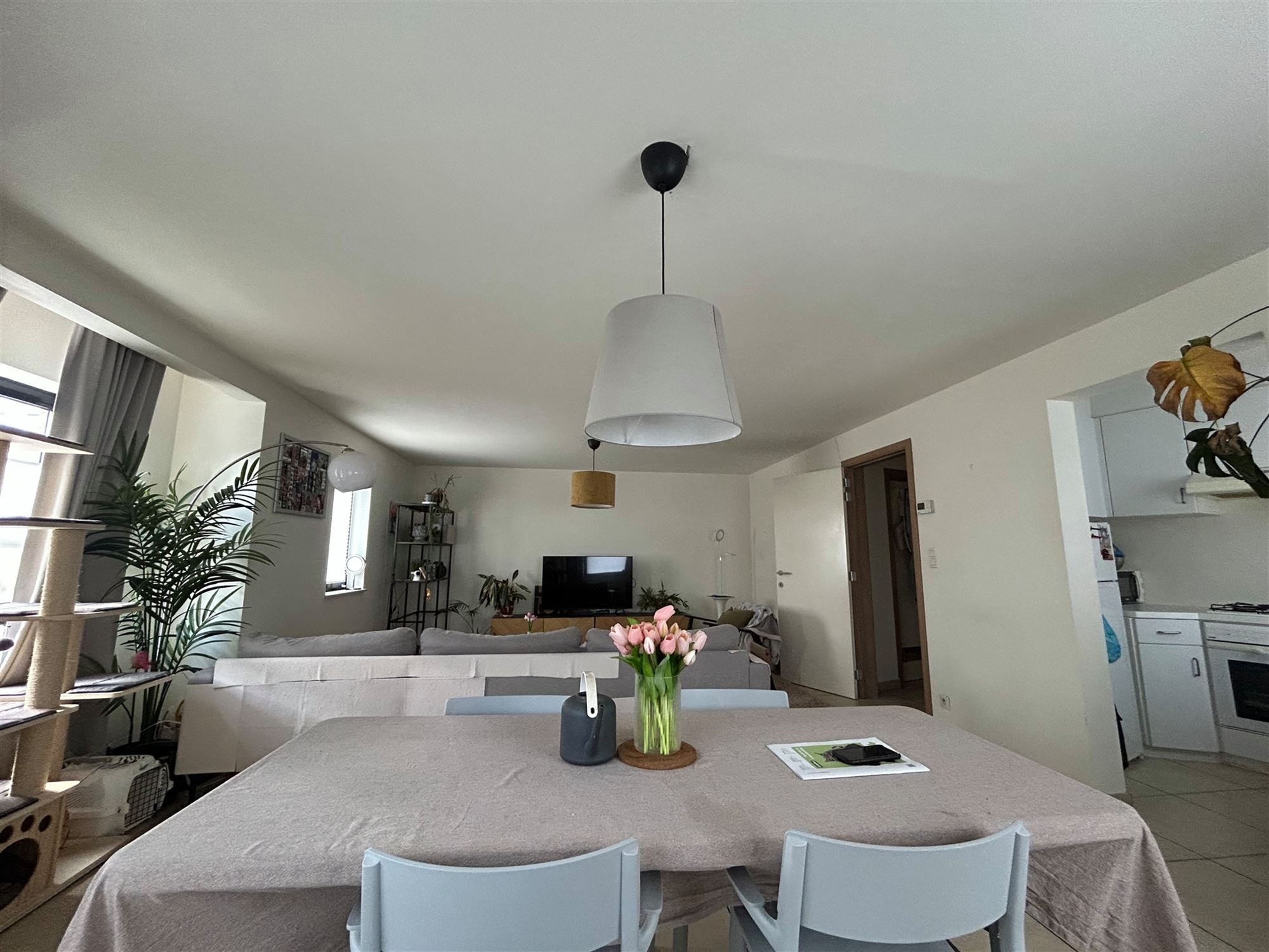 Twee slaapkamer appartement Schapenstraat Leuven - foto 4