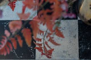 In de Steenstraat, midden in een rustige woonkern op wandelafstand van talrijke faciliteiten wat Meulebeke praktisch en leefbaar maakt, staat...