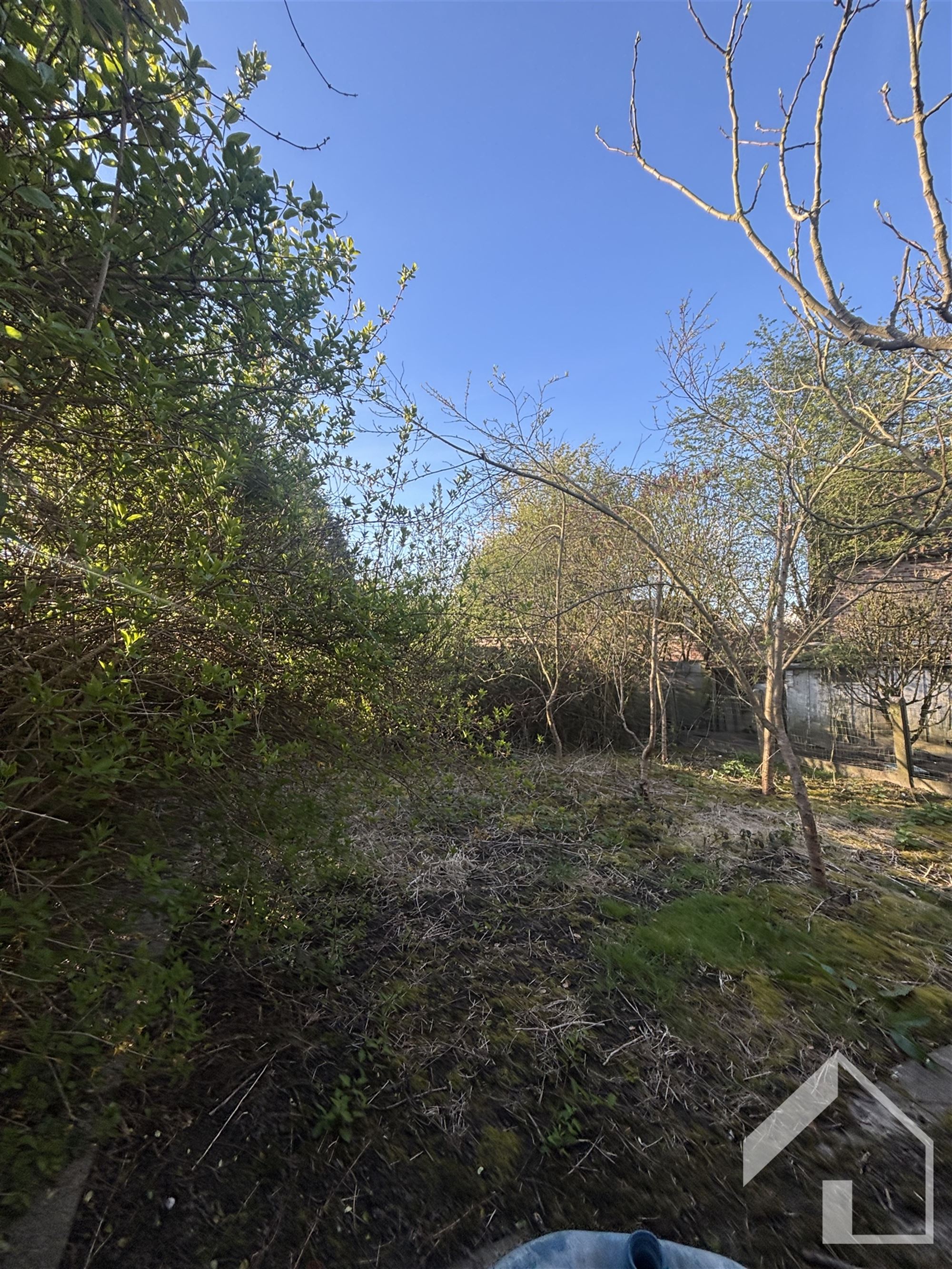 Projectgrond in centrum van Ranst - foto 5