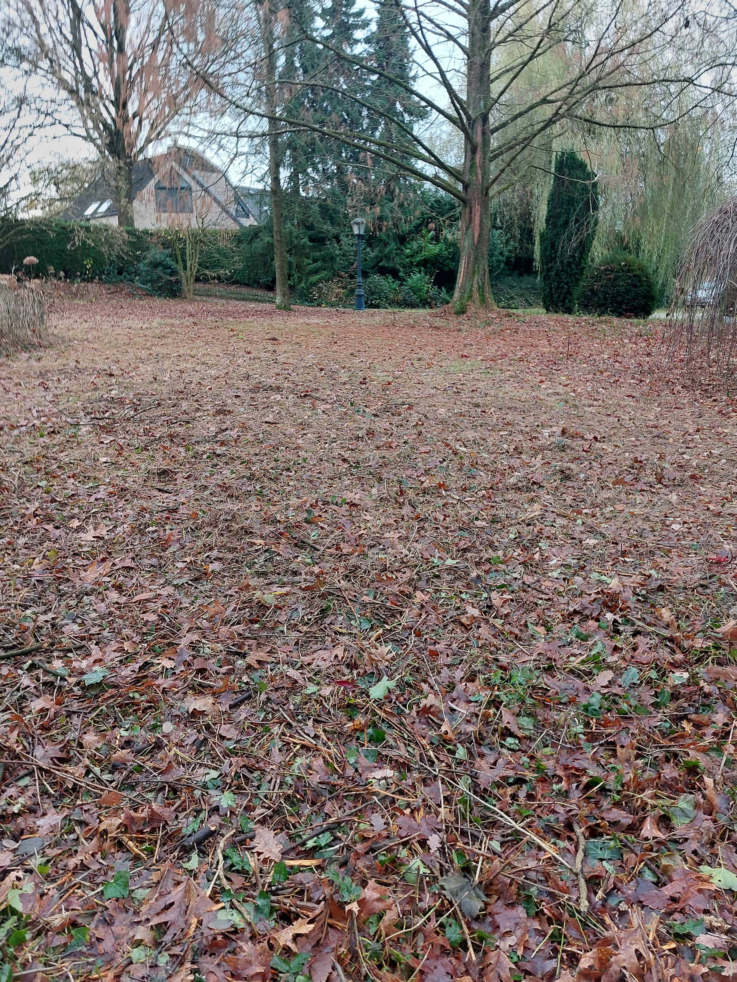 Grond te koop in Kessel-Lo - foto 3