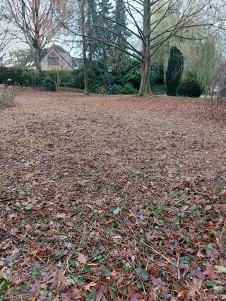 Uitzonderlijk en uniek perceel bouwgrond te koop - op hoogte 2 km van centrum Leuven - ongeveer 16 are - achterin gelegen op 50 m van straat...