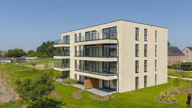 Project te koop in Oud-Turnhout