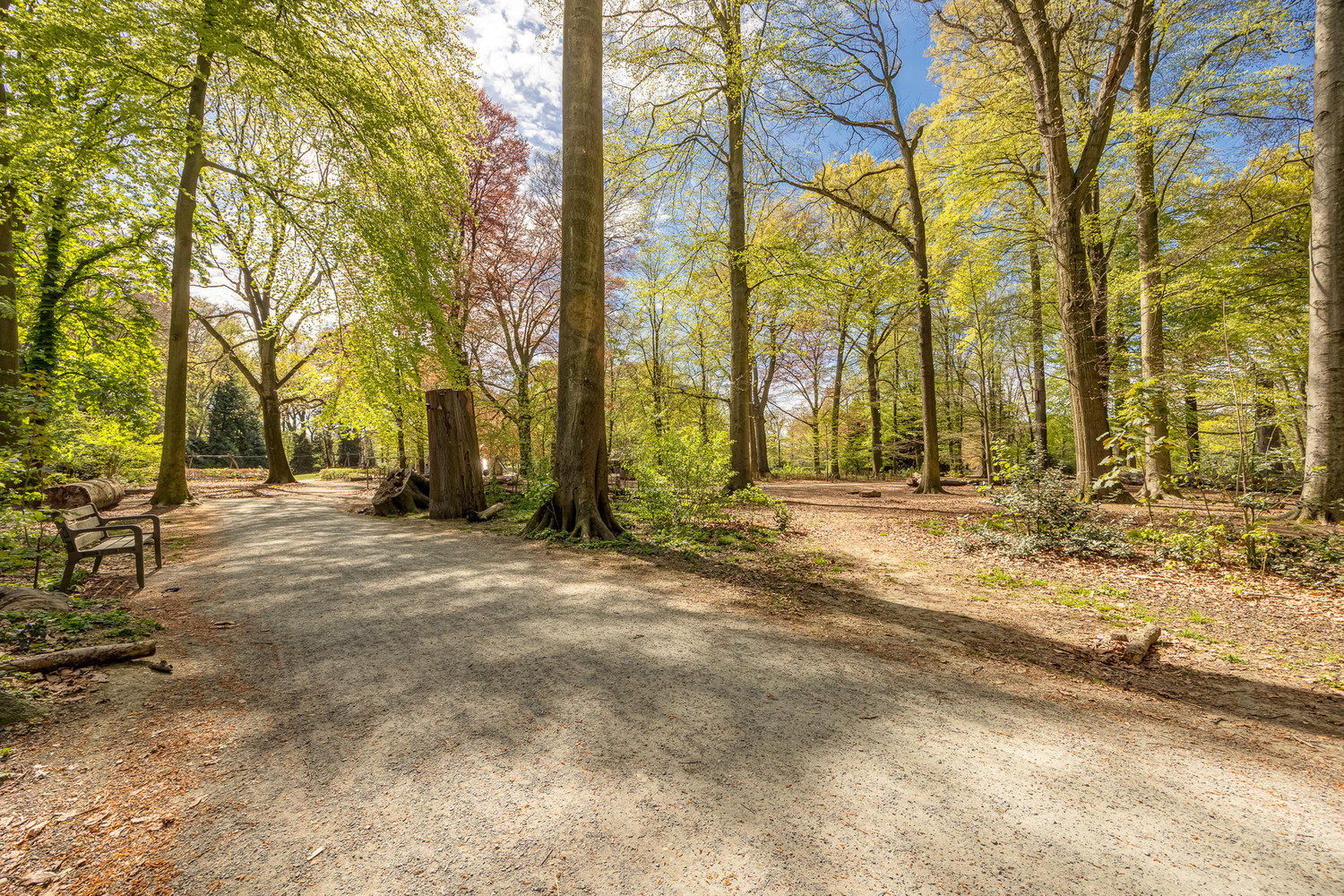 Unieke halfopen parkwoning (230m²) met schitterende Art-déco elementen op toplocatie tegenover het Te Boelaerpark - foto 2