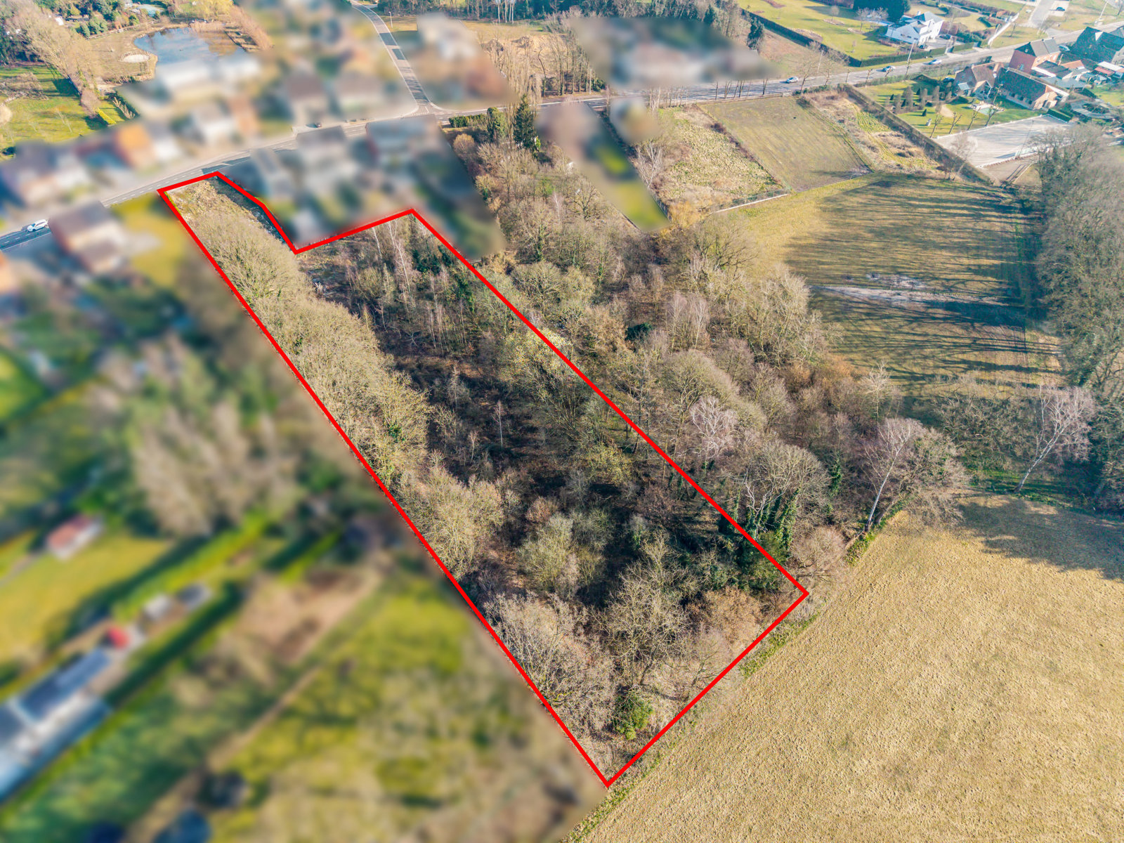 Bouwgrond op 9a 68ca + optie weide op 58a 40ca nabij centrum - foto 2