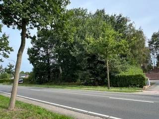 In een aangename residentiële omgeving in Merksplas bevindt zich dit uitzonderlijk ruime villaperceel met een oppervlakte van maar liefst 2.634m². Dankzij de combinatie van ruimte, privacy en een vlotte bereikbaarheid vormt dit perceel een mooie basis voor het realiseren van een ruime gezinswoning.<br /><br />Het perceel beschikt over een straatbreedte van ca. 35 meter. De royale afmetingen bieden uitstekende mogelijkheden voor het bouwen van een vrijstaande woning in open bebouwing, met volop ruimte voor een ruime tuin en verschillende mogelijkheden om het perceel naar eigen wens in te richten.<br /><br />De residentiële ligging zorgt voor een woonomgeving met veel privacy, terwijl het centrum van Merksplas en de omliggende gemeenten vlot bereikbaar zijn. Hierdoor geniet u van een aangename combinatie van kwalitatief wonen en een goede bereikbaarheid.<br /><br />Een uniek perceel voor wie op zoek is naar ruimte en vrijheid om een ruime gezinswoning te realiseren op een mooie locatie in Merksplas.<br /><br />Troeven:<br />• Royaal villaperceel van 2.634m²<br />• Straatbreedte van ca. 35 meter<br />• Geschikt voor open bebouwing<br />• Veel ruimte en privacy<br />• Ideaal voor een ruime gezinswoning<br />• Residentiële ligging met vlotte bereikbaarheid