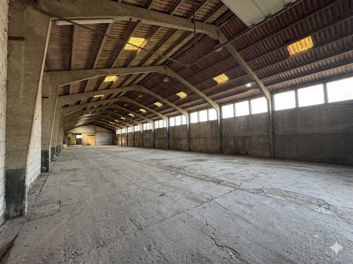 Polyvalente loods (600 m²) met buitenruimte te Adinkerke - foto 2