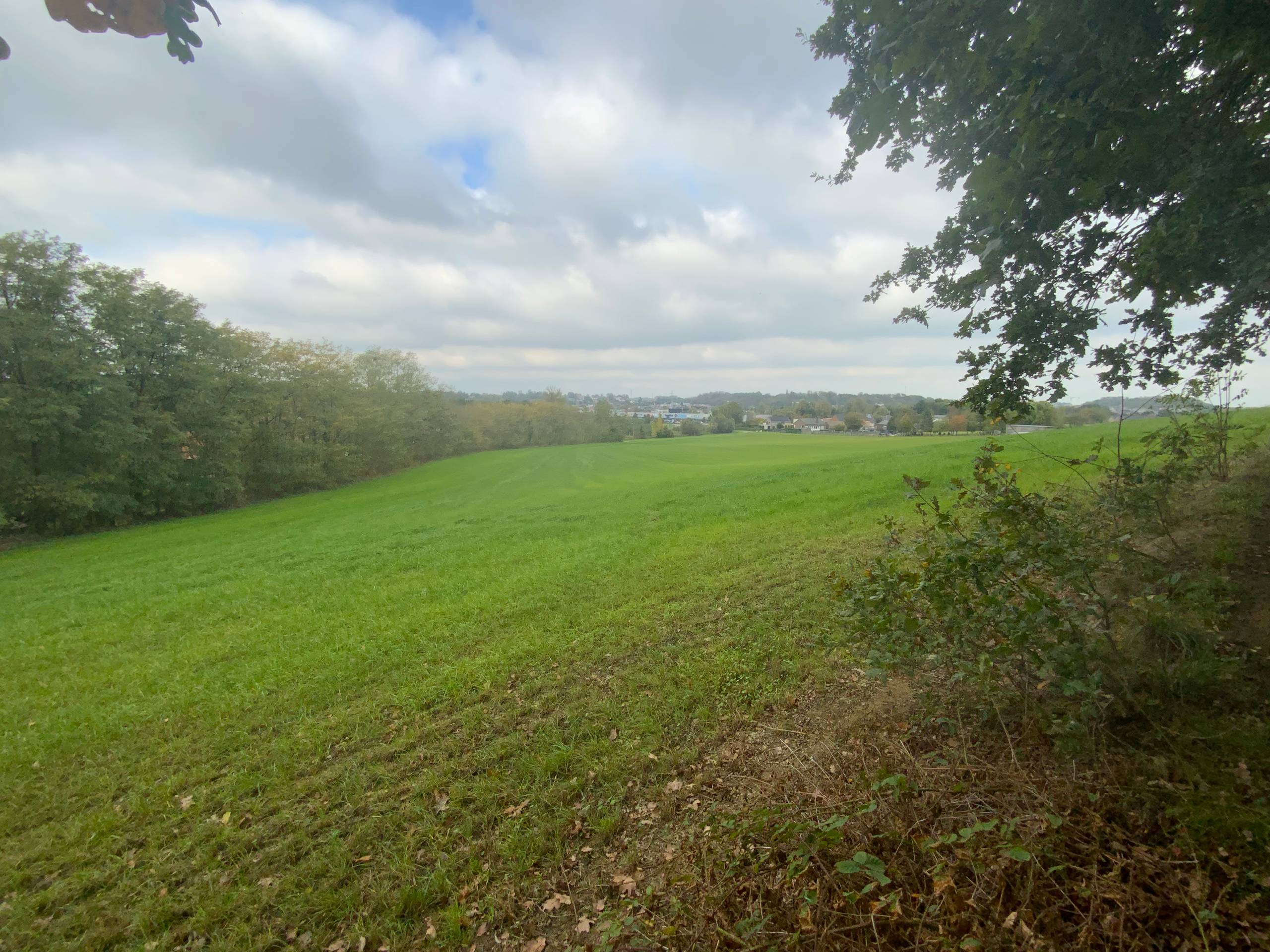 Landbouwgrond van 6ha 73are te koop in Diest - foto 5