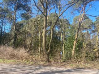 Land for sale in Balen