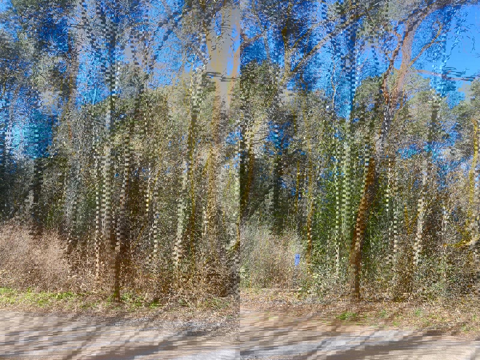 Land for sale in Balen - photo 3