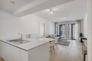 Dit recente, instapklare appartement van 89 m² ligt op een uiterst centrale locatie vlakbij het Justitiepaleis, Place Poelaert, Avenue Louise,...