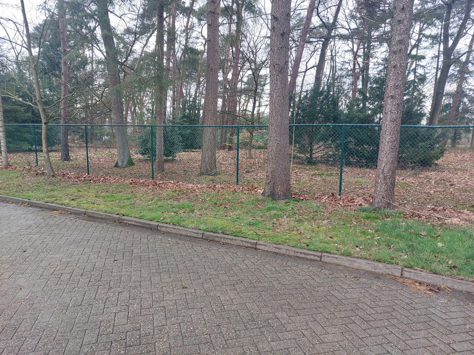 Grond te koop in Beerse - foto 1