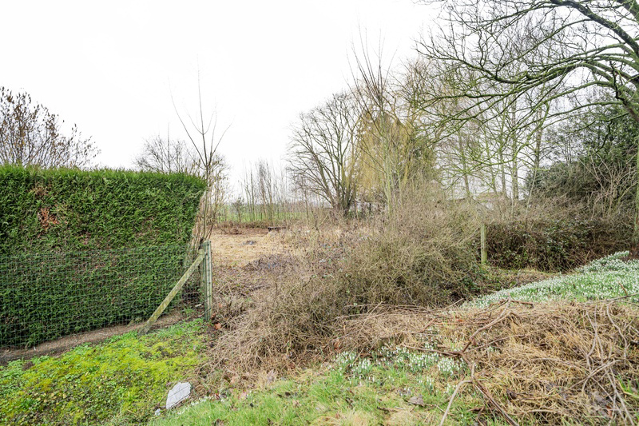 Grond te koop in Soignies - foto 4