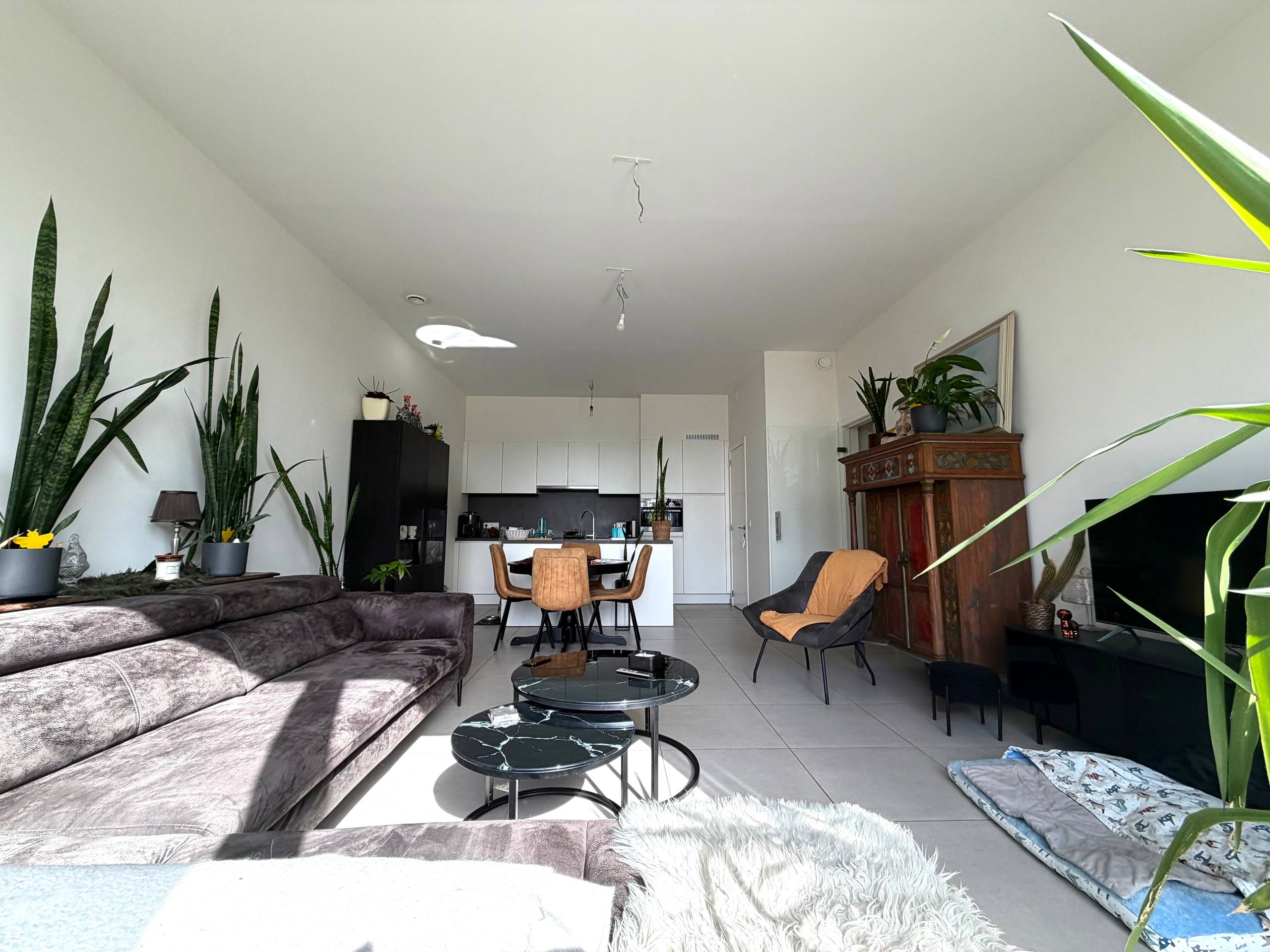 Recent appartement met twee slaapkamers te huur in Evergem - foto 3