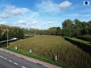 <p><span>ROYAAL PERCEEL VOOR OPEN BEBOUWING</span></p><p><span>Klakvijverstraat tussen nummer 130 en 122 te Geraardsbergen </span></p><p><span>Prijs 175.000 euro </span></p><p><span> </span></p><p><span>Dit prachtig gelegen stuk grond in het landelijke Grimminge ligt vlakbij het vakantiedomein de Gavers en openbaar vervoer. </span></p><p><span>Zowel vooraan als achteraan biedt deze plek een uitzicht over de velden en de natuur. </span></p><p><span> </span></p><p><span>Oppervlakte: 12,66 are</span></p><p><span>Bouwvoorschriften: </span></p><p><span> </span></p><p><span>- Breedte: 10,13m</span></p><p><span>- Bouwdiepte gelijkvloers 15m</span></p><p><span>- Bouwdiepte verdiep 1: 12m</span></p><p><span> </span></p><p><span>Mogelijkheid tot type bungalow ook als kroonlijsthoogte max 4m is, mag er 18m diep gebouwd worden.</span></p><p><span> </span></p><p><span>De tuin is georiënteerd naar het Noorden. Bouwen op paalfunderingen.</span></p><p><span> </span></p><p><span>Wilt u uw droomwoning zelf bouwen, dan is deze plek ideaal!</span></p><p><span> </span></p><p><span>Voor info of bezoek bel Dylan op 0489/54.69.99 of mail naar <span>Dylan@svena.be</span></span></p><p><span> </span></p><p><span> </span></p>