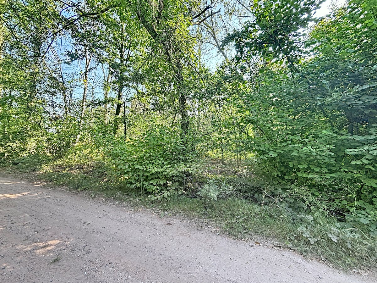 Rustig gelegen grond (ca. 1.010 m²) te koop in Wuustwezel - foto 5