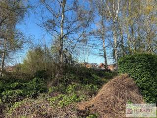 Terrain à vendre à Heist-op-den-Berg