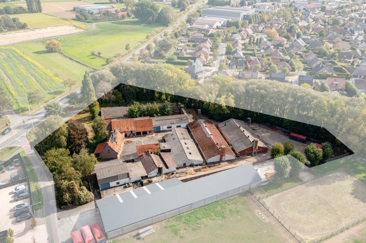 Varkensbedrijf te koop te Bavikhove - photo 1