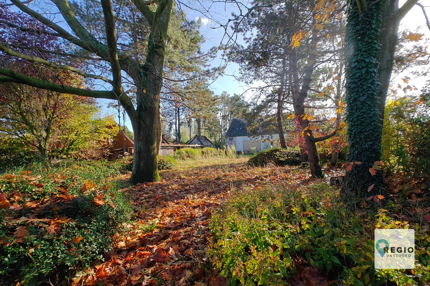 Heropbouwproject – landelijk-moderne villa met bijgebouw op 3.110 m² te Merendree - foto 4