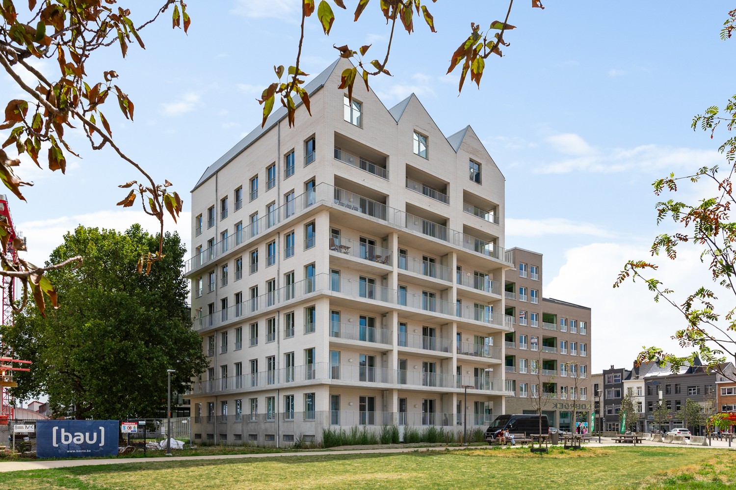 …