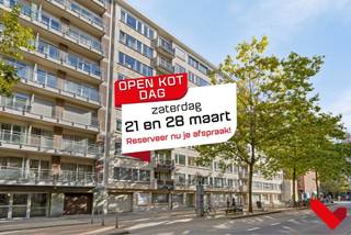 Op zoek naar een gezellige woonplek op toplocatie? Dit lichtrijke gelijkvloerse appartement bevindt zich in het bruisende centrum van Leuven,...