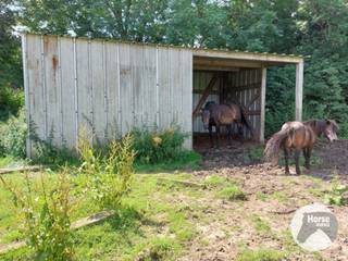 TONGEREN - Weide op +/- 1,5 ha<br /><br />Deze weide is zeer rustig gelegen, in een doodlopende straat in Tongeren (Sluizen).<br />Er staat een schuilstal op van +/- 3x7 m en het geheel ligt dichtbij het natuurgebied "De Kevie" met veel wandelmogelijkheden.<br /><br />Het laagst gelegen deel van het weiland is een soort poel, waardoor de paarden steeds water hebben.<br /><br />Bij interesse in dit weiland, aarzel niet ons te contacteren op 053/60.65.66.