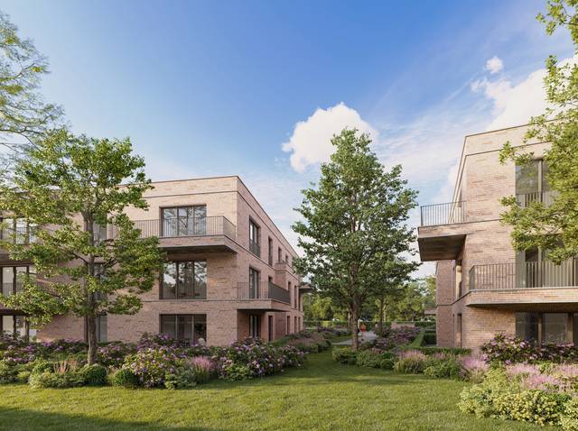 Projet à vendre à Sint-Amands