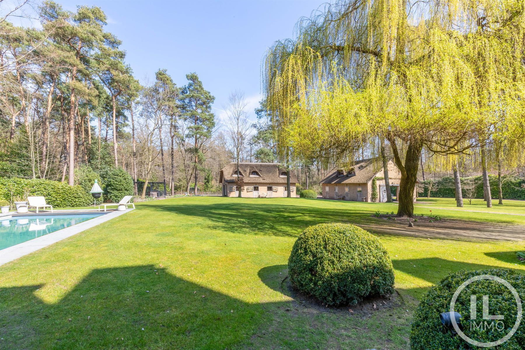 Maison à vendre à Oud-Turnhout avec 7 chambres - photo 4