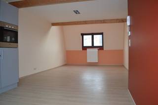 Beautiful 1 bedroom duplex apartment on the 3th floor of a well maintained Brussels master house. Bright living room with fully fitted open...