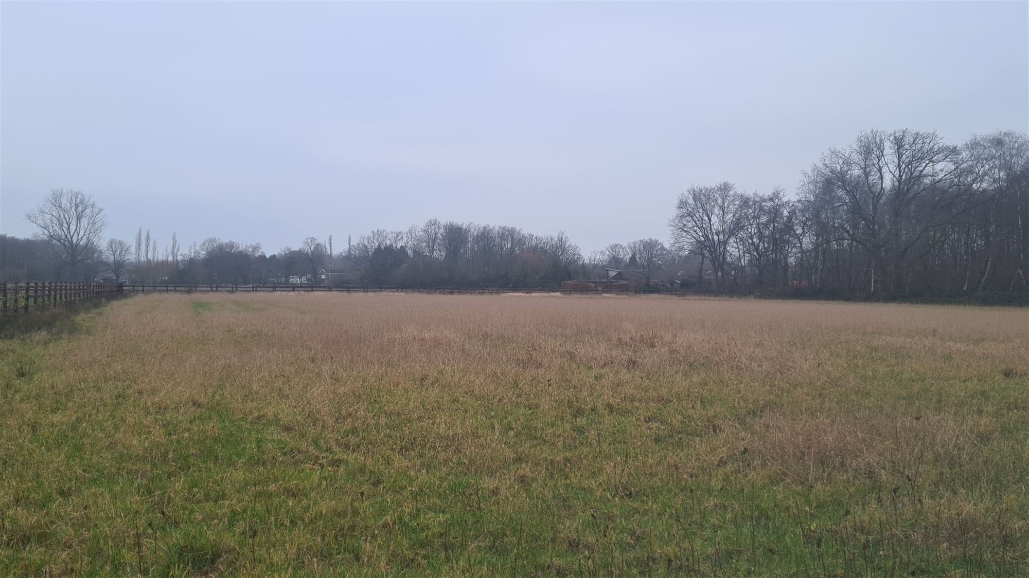 Landbouwgrond - foto 1